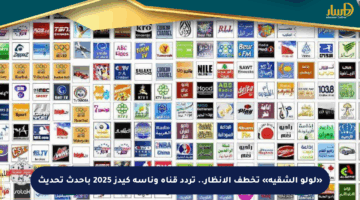 «لولو الشقية» تخطف الأنظار.. تردد قناة وناسة كيدز 2025 بأحدث تحديث